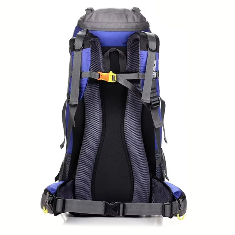 50L 방수 아웃도어 스포츠 하이킹 캠핑 여행 배낭 등 - Rain Cover Backpack 리뷰 및 가격